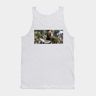 Horopito sapling Tank Top